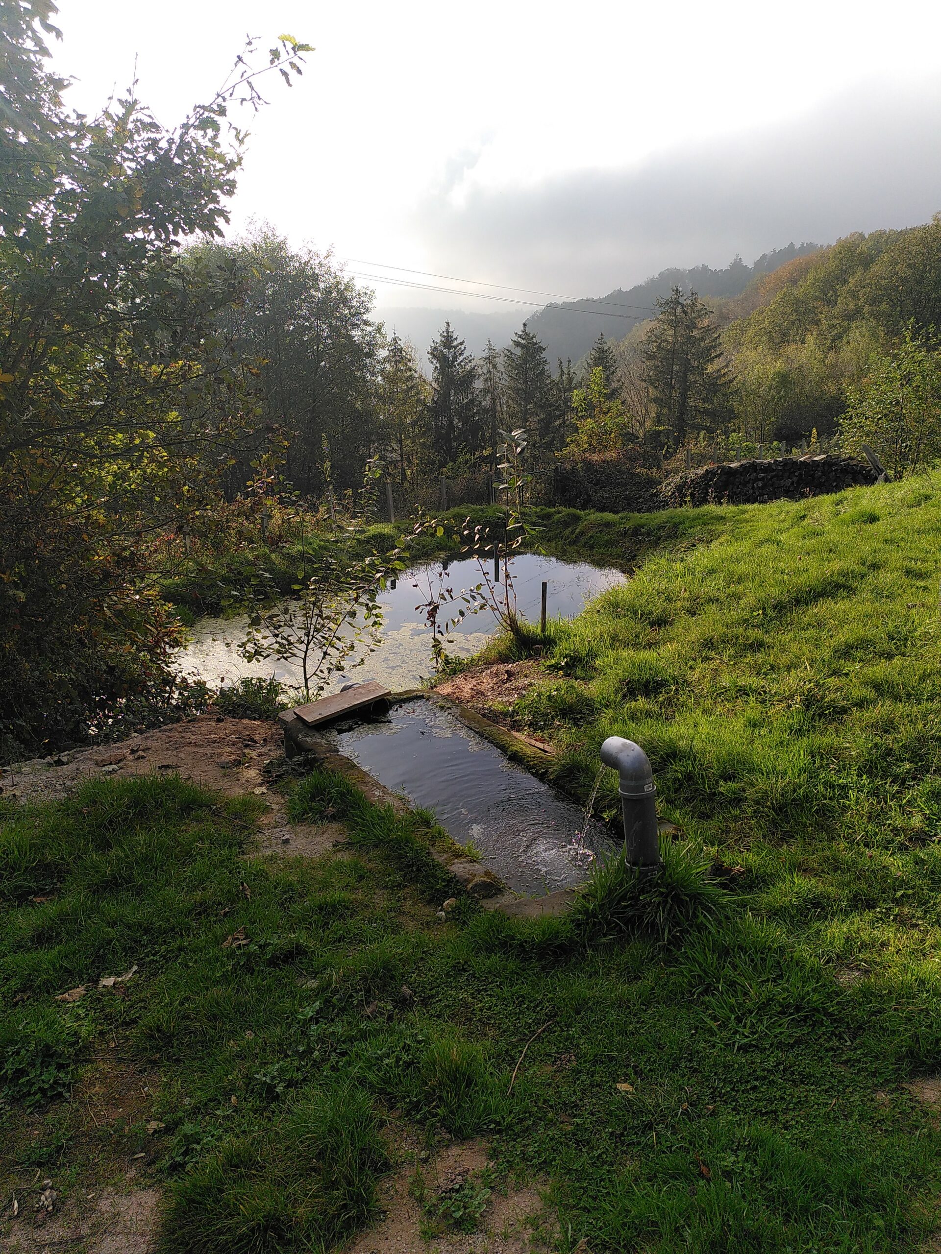 Abreuvoir gîte de la source Hellert